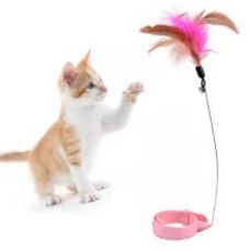 Kedi Boyun Tasmalı Oyuncak
